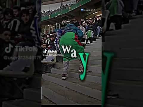 مريولي الجزائر