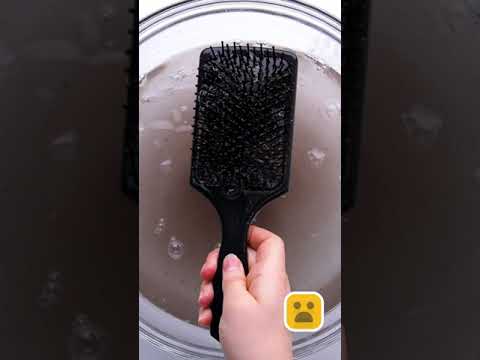 Deep Clean Your Hair Brush Shorts