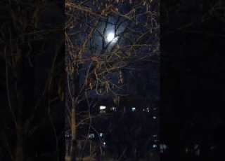  Tereschhenkivska Street Full Moon In Dark Skies Kyiv Ukraine 08 March 2023