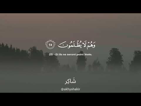 Sourate Al Imran 1 45 Mahdi Ash Shishani سورة آل عمران مهدي الشيشاني