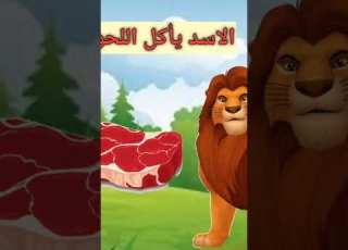 الأسد ملك الغابة حواديت رحيم