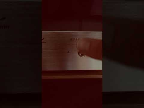 Marantz PM 52 Fosi Audio BT20A PRO WIIM MINI Monitor Audio BR1