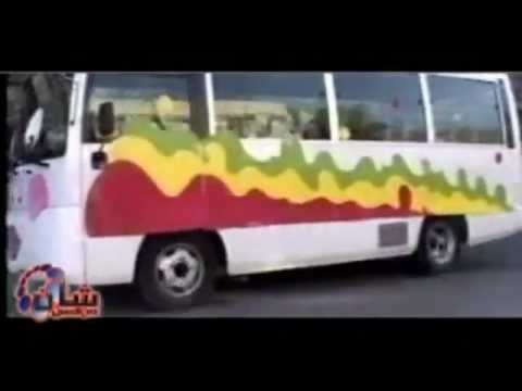 Lulav Stranên Zaroka