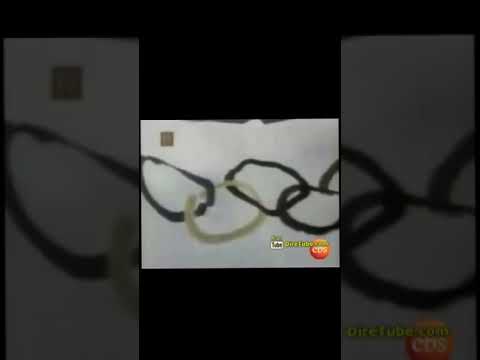 Abebe Bikila Ethiopian Athlete