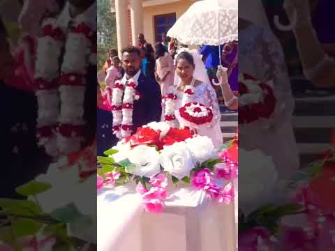 Lilima Hockey Player Marriage Shortsfeed Shorts