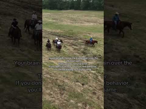 Known Pain Feels Predictable And Predictable Feels Safe