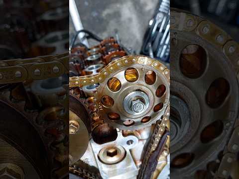 Timing Marks Toyota 2AZ 2 4L Camry Raw4 2005 To 2011 Timing Automobile Mechanic Short Shorts Timing Marks Toyota 2AZ 2 4L Camry Raw4 2005 To 2011 Timing Automobile Mechanic Short Shorts