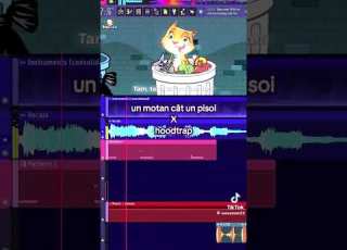 Funny Rap Hoodrap Cat