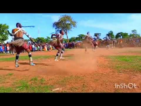 JIMINOGENI DOTTO Sho Hatali 2026 Lubhiza Studio