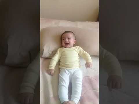 طيور الجنة أحمد موفيس Toyor Al Jannah