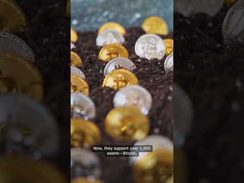 Zengo Crypto Wallet Review