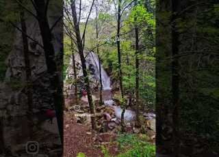  شلال افنسو بسكيكدة الشعب الصيني ماله حل مشاهدات تيك توك Green Explore Fyb