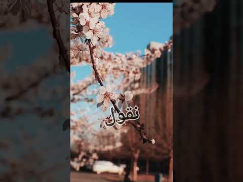 عاجبني فيك الزين والعقل الشاب حسني حالات واتس اب عاجبني فيك الزين والعقل الشاب حسني حالات واتس اب