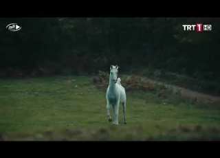  ارطغرل يعود اله حصانه