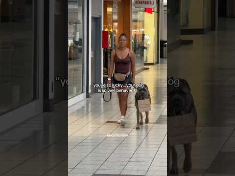 Stop Mistaking Hard Work For Luck