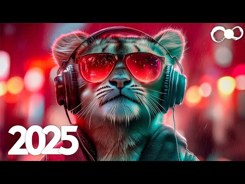 EDM Music 2025 Mix EDM Remixes Of Popular Songs EDM Music Mix 2025