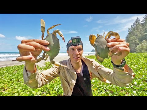 Survive On The Seashore After The Tsunami