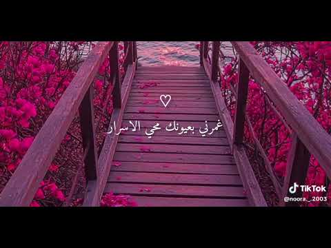 ليلى ليلى نهار وعمري كله نهار