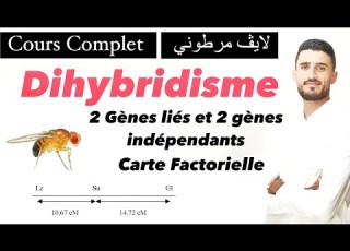 لايڤ مرطوني Cours Complet Dihybridisme 2 Gènes Indépendants 2 Gènes Liés Carte Factorielle