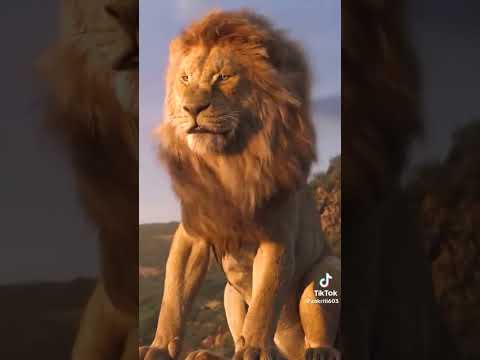 ٨ أغسطس ٢٠٢٣