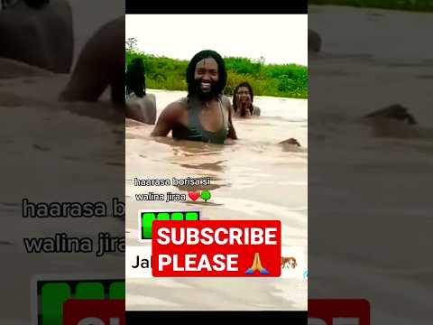 Shorts Jaal Marroo Moha Media Qaanqee Show Omn Oduu Hatatama Wbo Abo Oromomusic Oromotiktok Faannoo