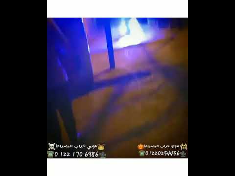 حالت وتس اغنيه حربوني بحكومه غناء احمد موزه مصممين Abd Atef ومسعدت التوتو خراب مصر حالت وتس اغنيه حربوني بحكومه غناء احمد موزه مصممين Abd Atef ومسعدت التوتو خراب مصر