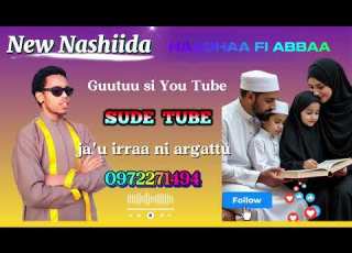 Nashiidaa Haarawa Ajaa Ibaa Yeroo Dhihotti Gad Lakkifnaa Eeggadhaa