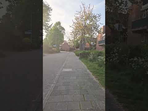 Music Fairuz اكسبلور Travel اغاني صباحية طرب