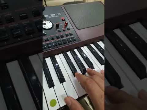 دبكة مجوز سامبليرات فلسطينية عزف كورج Pa 1000