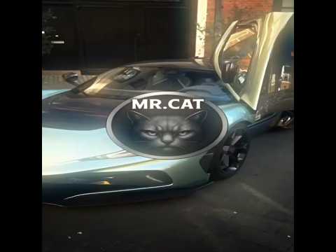 SONG MONTAGEM TENTANA COLLAB Nxtheditx