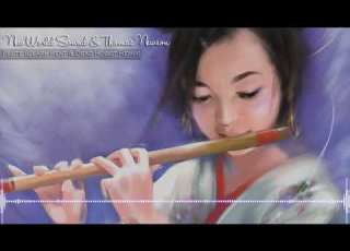 Trap New World Sound Thomas Newson Flute Clark Kent Dead Robot Remix Free Download