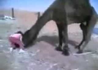  سبحان من خضعت لعظمته الرقاب