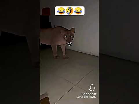 انا رايح فين انا راجع فين