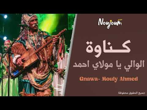 Gnawa Louali Moulay Ahmed EXCLUSIVE كناوة الولي يا مولاي حمد حصريا