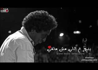 انا رافع رايات عشقي محمد منير