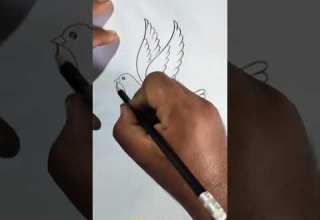 حمامة السلام