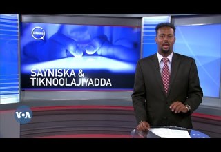 Maxaa Toddobaadkan Ku Cusub Sayniska Iyo Teknoolajiyadda Caalamka