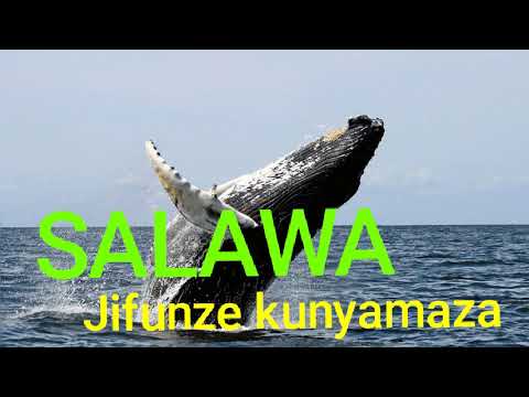 SALAWA Jifunze Kunyamaza By N Recods