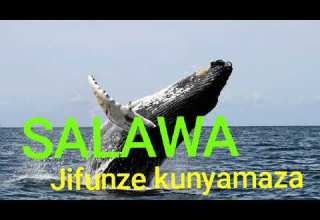 SALAWA Jifunze Kunyamaza By N Recods