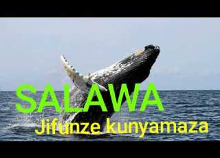 SALAWA Jifunze Kunyamaza By N Recods