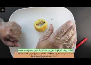  كيف تستخدم قوة الليمونة للحصول على حبيبك المفضل وجعله يشتاق إليك بشدة