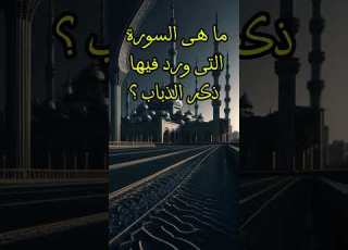  ما هى السورة التى ورد فيها ذكر الذباب Shortvideo Subscribe Shorts Short Explore