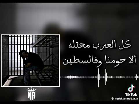 كل عرب محتلة الا حومنا وفلسطين