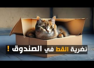  نضرية القطة في الصندوق