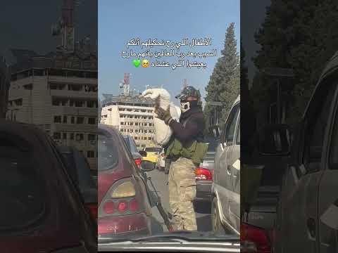 عبد الباسط ثوري ثوري درعا بعتامينا انتي شمعة الله يرحمك يا ساروتنا Shorts