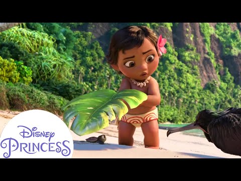 Baby Moana Lends A Helping Hand Moana Disney Princess Baby Moana Lends A Helping Hand Moana Disney Princess