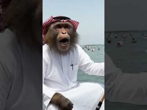 يا جماعة أنا في البحر لصيد السمك أنا هناك منذ الصباح والعصر ما اصطدت ولا سمكة بعد Funny اكسب