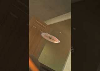 пилапокалипсис 1