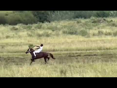 Traditional Horse Racing 28 03 2026