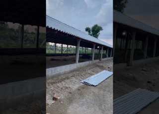 Poultry Farm Construction